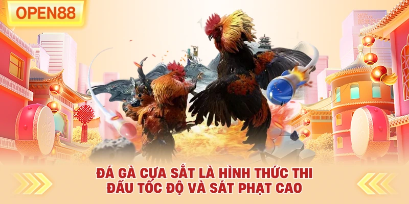 Đá gà cựa sắt là hình thức thi đấu tốc độ và sát phạt cao